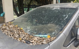 Ô tô 7 chỗ đậu bên đường cả năm: Chủ xe về quê chăm sóc vợ