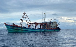 Phú Quốc: Bắt tàu cá chở 60.000 lít dầu diesel trái phép