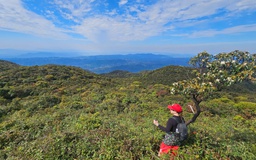 Thử nghiệm tour trekking chinh phục 'nóc nhà' Quảng Trị