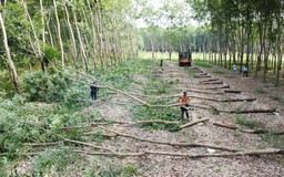 Vì sao chủ đầu tư đánh trượt thầu Tập đoàn Sơn Hải?