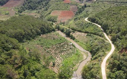 Vì sao người dân chưa đồng thuận giao đất cho dự án thủy điện Đăk Pru 3?