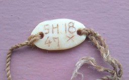 Tiếp tục phát hiện hài cốt liệt sĩ tại công trình thi công điện gió Quảng Trị