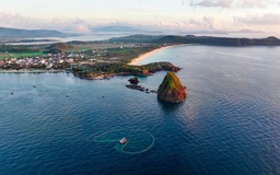 Hòn Yến - Hòn Đụn và tình thân hóa đá