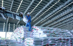 Phân bón Cà Mau mở văn phòng đại diện sau 10 năm xuất khẩu sang Campuchia