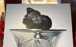 Chiêm bái xá lợi trái tim Bồ tát Thích Quảng Đức: Cần lưu ý gì khi đăng ký?