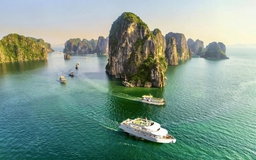 Lộ diện bộ đôi 'thiên nga trắng' đưa khách ngắm vịnh Bái Tử Long