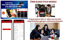 Gần 257.000 người được hoàn thuế thu nhập cá nhân tự động gần 1.170 tỉ