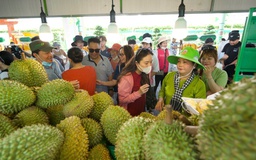 Khách đổ xô mua sầu riêng tại lễ hội trái cây Nam bộ ở Suối Tiên