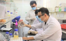 Thuê chuyên gia, nhà khoa học làm công chức lãnh đạo