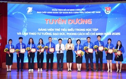 Tuyên dương 31 đảng viên trẻ tiêu biểu của Tập đoàn VNPT