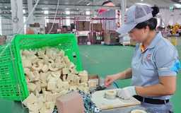 Khánh thành nhà máy gối đỡ đường ống cách nhiệt 