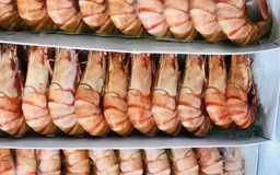 Thuế đối ứng của Mỹ và 3 kịch bản cho tôm cá Việt Nam