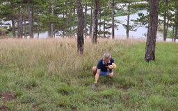 300 loài nấm rừng ở Đà Lạt: Cẩn thận nhầm 'lộc trời' với 'nấm tử thần'