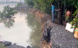 TP.HCM: Sạt lở bờ đê ở xã Bình Mỹ, hỗ trợ dân di dời tài sản