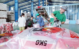 Giá gạo thế giới đồng loạt lao dốc, vì sao?