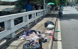 Bé gái sơ sinh bị vứt dưới rạch ở TP.HCM