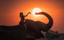 Ngày mai là ngày dài nhất 2025: Hạ chí, nơi này có mặt trời lúc nửa đêm