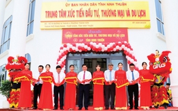 Ninh Thuận: Không ngừng hỗ trợ doanh nghiệp thu hút đầu tư và phát triển bền vững