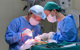 Khối u não to như quả quýt được phát hiện sau khi bị tai nạn giao thông