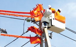 Công ty Điện lực Ninh Thuận: Ánh sáng của niềm tin