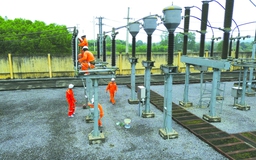 Điện lực Quảng Bình bứt tốc đầu năm, quyết tâm về đích sớm