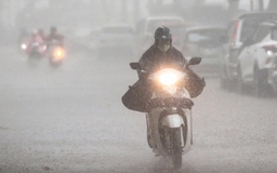 Mưa nắng bất thường kéo dài