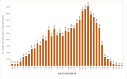Điểm thi lớp 10 của TP.HCM: Môn toán có 36 thí sinh đạt điểm 10