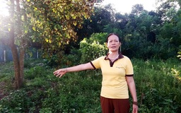 300 m2 đất giá bán 3 tỉ nhưng phải đóng thuế gần 4,5 tỉ đồng