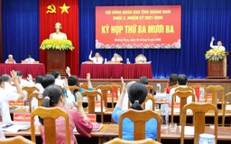 Chủ tịch UBND tỉnh Quảng Nam và 6 người khác thôi làm đại biểu HĐND tỉnh