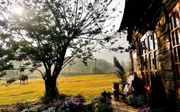 Một khu vườn thơ mộng, ngập tràn hoa lá khiến ai ghé thăm cũng phải trầm trồ