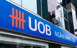60% doanh nghiệp Việt Nam lạc quan về triển vọng trong năm tới