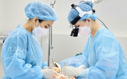 Vi phẫu, siêu vi phẫu và ứng dụng nâng mũi siêu vi phẫu