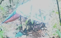 Tìm thấy thi thể người đàn ông mất tích khi hái lan rừng tại Lâm Đồng