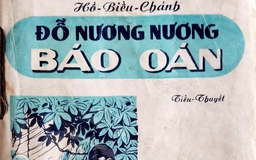 Hồ Biểu Chánh và nửa thế kỷ đam mê tiểu thuyết