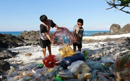 Hãy cứu lấy đại dương