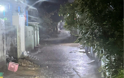 Bình Thuận: Bắt giam bị can đánh con riêng của người tình tử vong