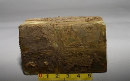 Xá lợi của những vị Phật trong nước ở đâu? Xá lợi ẩn mình