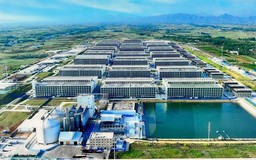 Heo ăn chay sẽ được đưa vào nuôi trong 'chung cư'