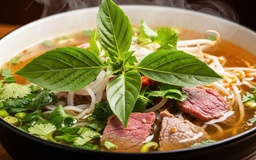 Món rau ăn kèm với phở không ngờ có thể chống ung thư, tiểu đường, mỡ máu