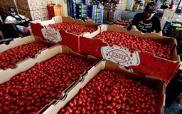 Mỹ giáng đòn mới lên Mexico, EU chuẩn bị đáp trả