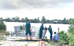 Cà Mau phát công văn hỏa tốc sau 50 vụ sạt lở, thiệt hại hàng chục tỉ đồng