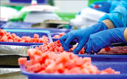 Mỹ mất vị trí số 1 nhập khẩu thủy sản của Việt Nam