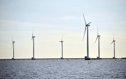 Ban hành khung giá phát điện gió ngoài khơi