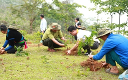 Hành trình 'Rừng cây tử tế'