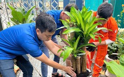 Bài học tránh lãng phí điện ở gia đình tôi