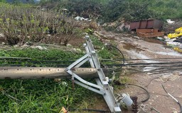 Lâm Đồng: Mưa lớn kèm gió giật kéo dài gây thiệt hại nặng