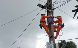 Đoàn Công ty Điện lực Gia Lai ‘Nối mạch tri ân’, thắp sáng vùng quê Bờ Ngoong