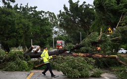 Bão số 3 Wipha: Trung Quốc thiệt hại diện rộng, Thái Lan lập 'phòng chiến tranh' để ứng phó