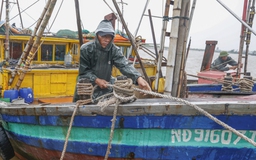 Hàng trăm tàu cá Ninh Bình về bờ tránh bão số 3 (Wipha)