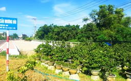 Cầu làm xong nhưng chưa thể sử dụng vì vướng mặt bằng